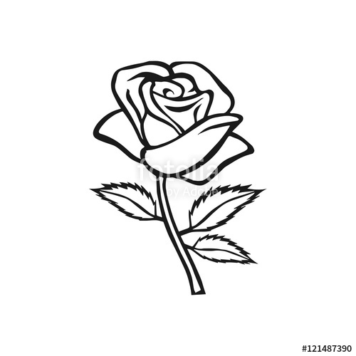 500x500 Rose Sketch. Rose Motif. Flower Design Elements. Vector - Motif Sketch