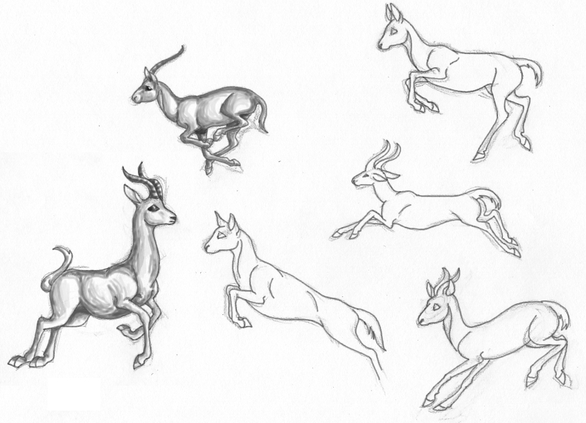 846x611 Gazelles In Motion - Motion Sketch