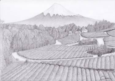 375x265 Tea Fields Of Mount Fuji Drawing By Daniel Wright Saatchi Art - Mount Fuji Sketch