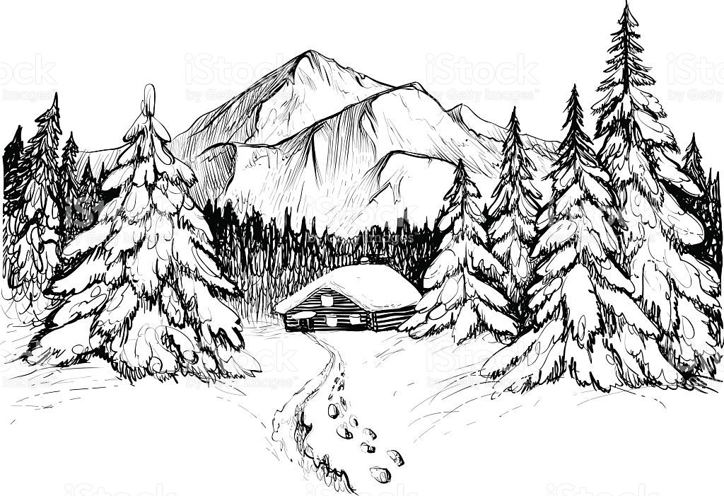 1024x701 Winter Forest In Mountains, Sketch. Black And White Vector - Mountain Black And White Sketch