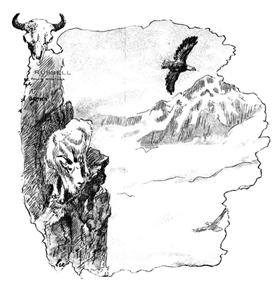 400x409 Mountain Goats Teachers (Science Trek Idaho Public Television) - Mountain Goat Sketch