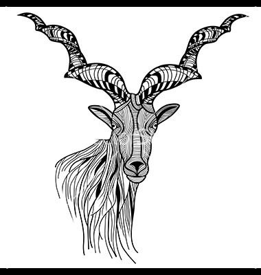 380x400 Goat Sketch Head Or Mountain Goat Line Art Vector - Mountain Goat Sketch