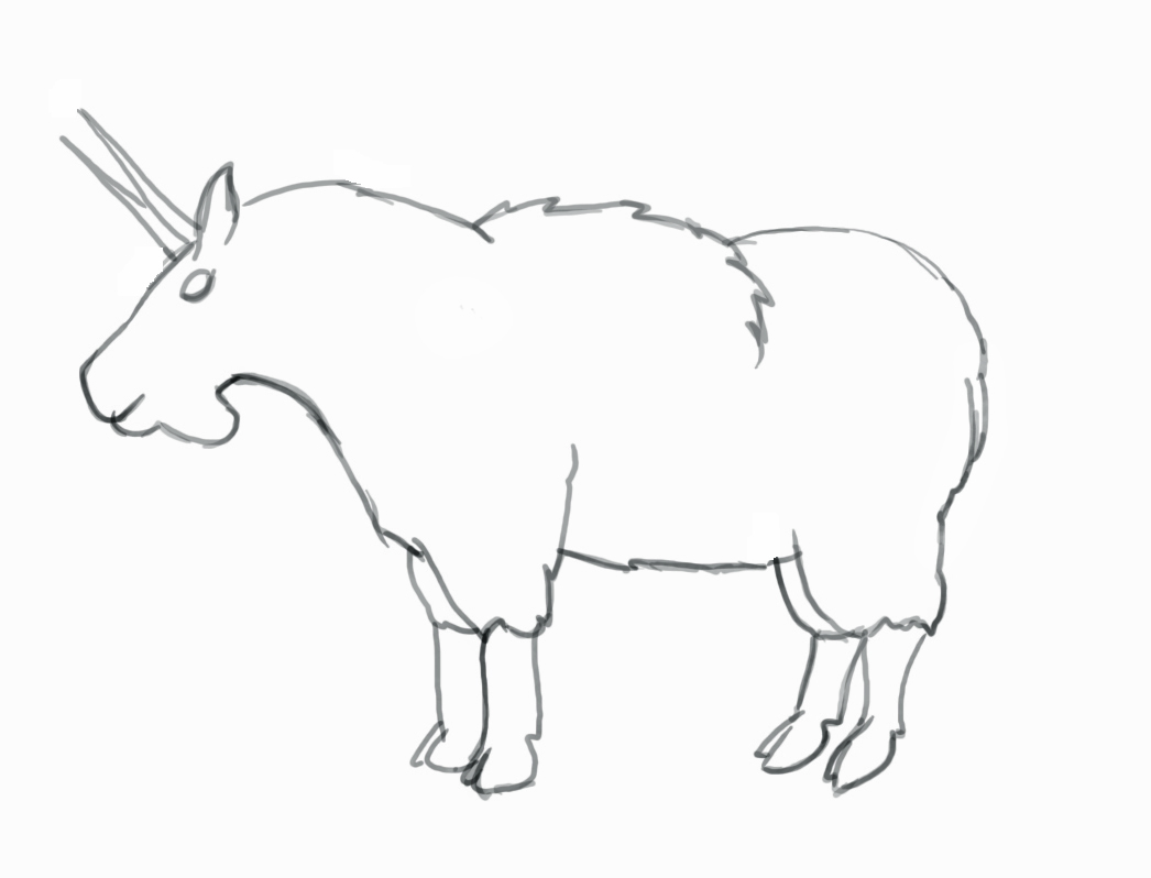 1046x798 How To Draw A Mountain Goat - Mountain Goat Sketch