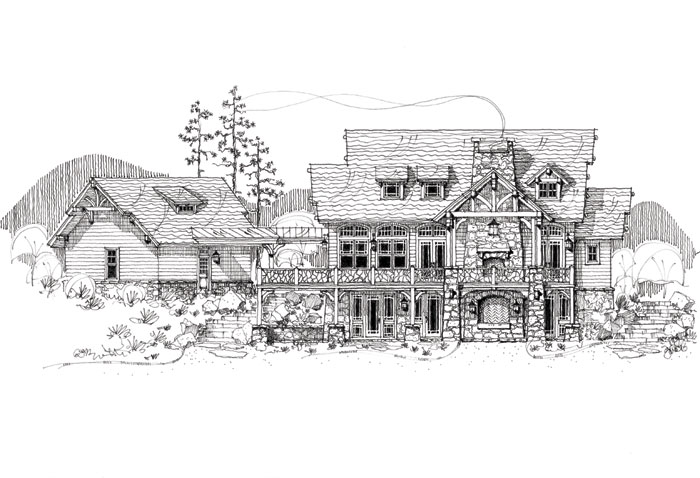 700x478 New South Classics The Mountain Laurel 2 - Mountain Laurel Sketch