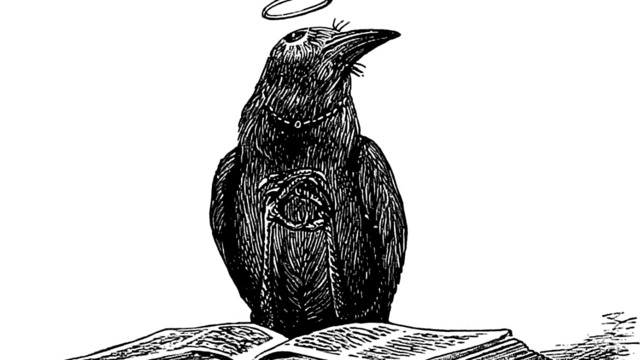 640x360 The Mountain Laurel Tumblr - Mountain Laurel Sketch