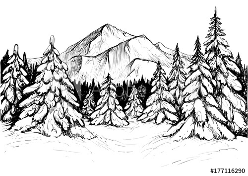 500x354 Winter Forest In Mountains, Sketch. Vector Hand Drawn Illustration - Mountain Peak Sketch