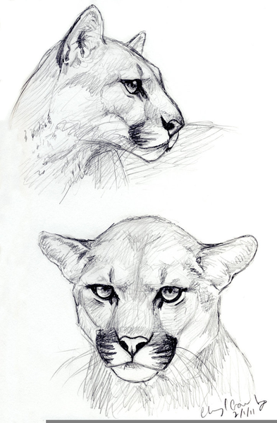 393x600 Mountain Sketches Clipart Free Images - Mountain Sketches Clip Art