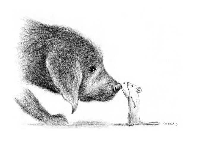 670x482 Pencil Drawing - Mouse Pencil Sketch