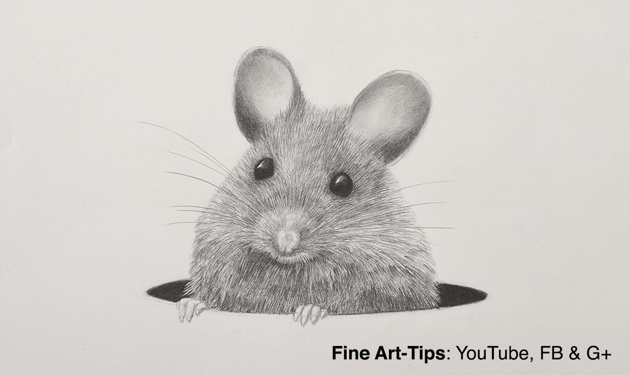1236x736 How To Draw A Mouse With A Mechanical Pencil - Mouse Pencil Sketch