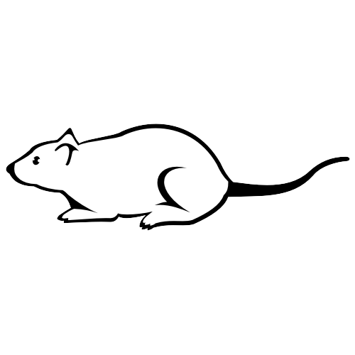 500x500 Free Vectors Black And White Mouse Sketch Free Vector - Mouse Sketch