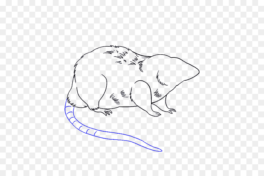 900x600 Laboratory Rat Drawing Mouse Sketch - Mouse Sketch