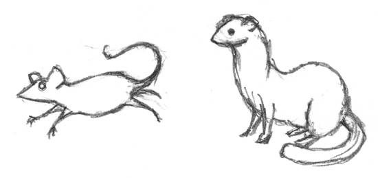 550x259 Weasel And Mouse Sketch Albino Kraken - Mouse Sketch