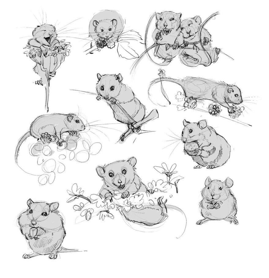 879x910 Mouse Sketches By Arsonanthemkj - Mouse Sketch Images