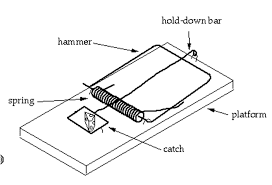 272x185 How To Build A Mouse Trap Car Physics - Mousetrap Car Sketch