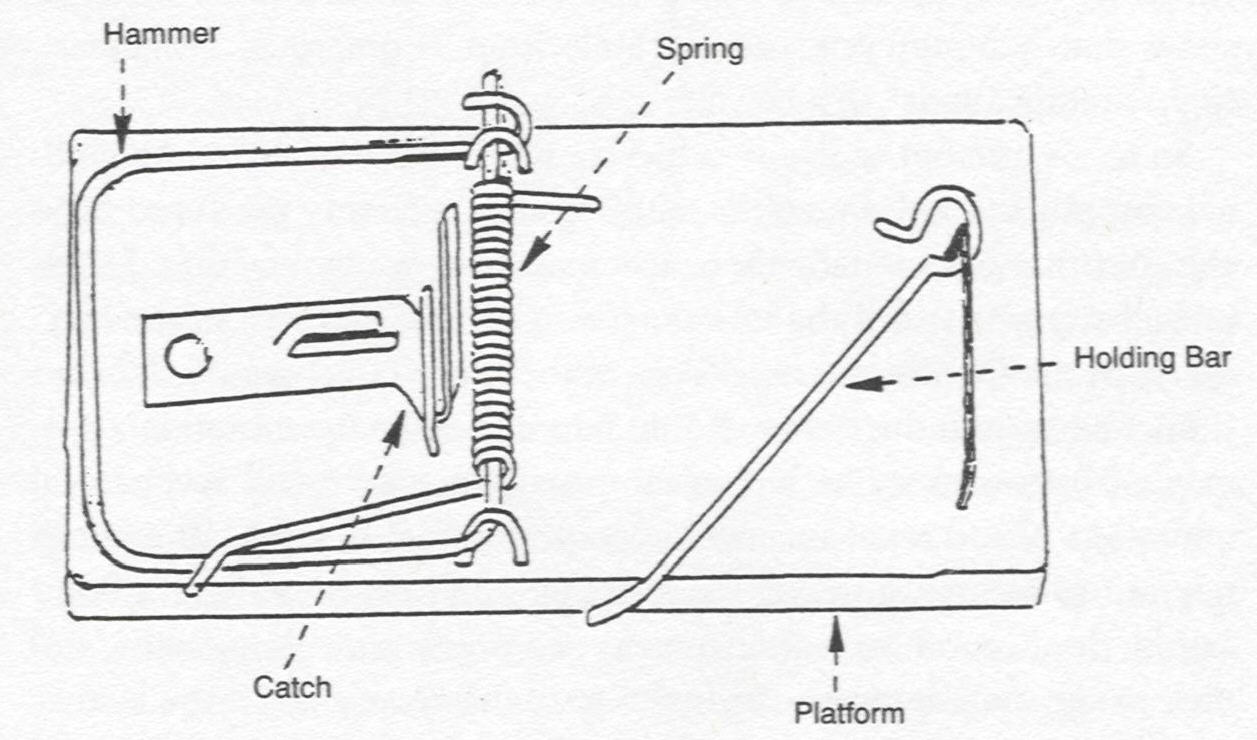 1257x740 Mouse Trap Parts Of A Mouse Trap - Mousetrap Car Sketch