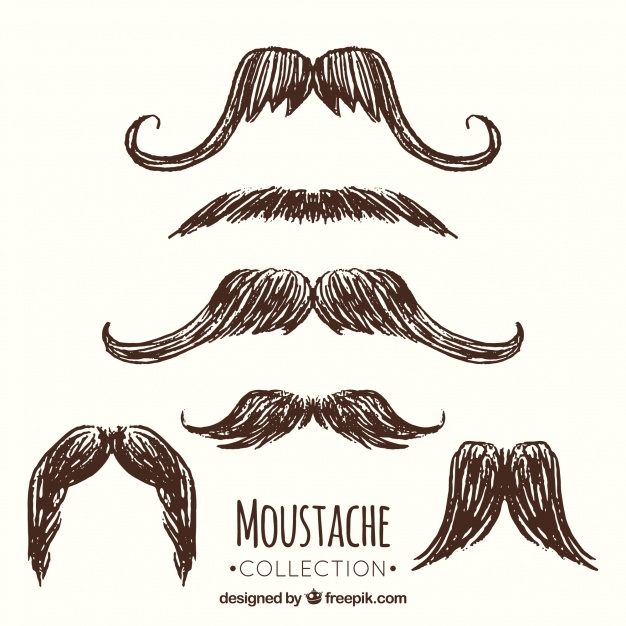 626x626 Sketch Moustache Collection Vector Free Download - Moustache Sketch