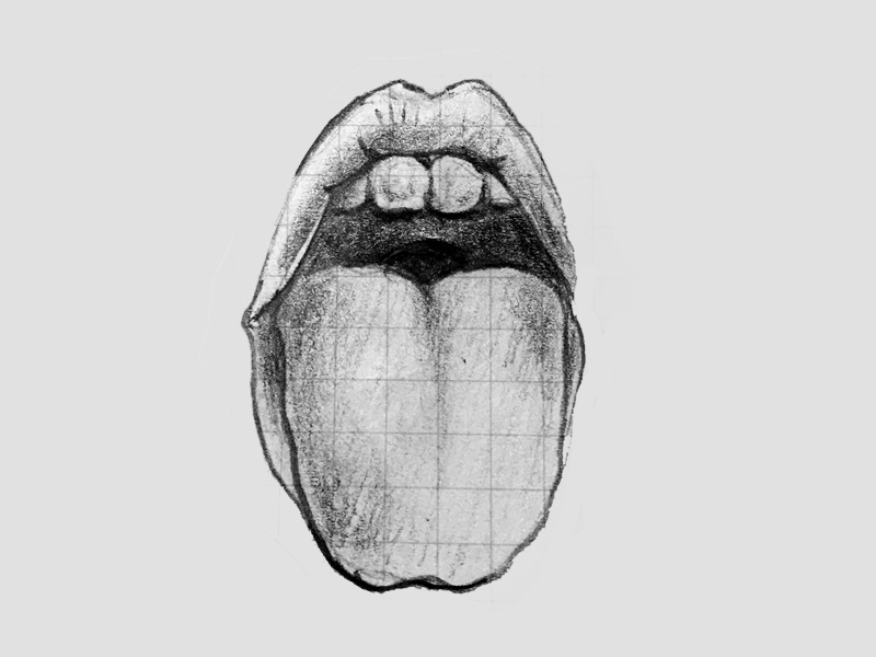 800x600 Mouth Sketch By Megan Harvell - Mouth Sketch