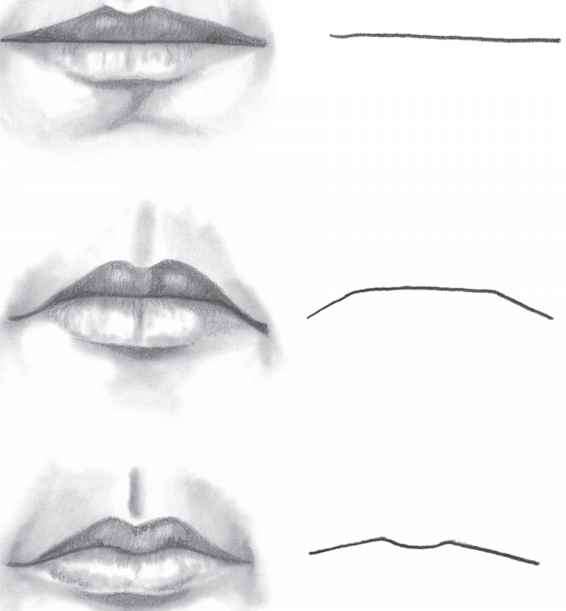 566x611 Parts Of The Mouth - Mouth Sketch