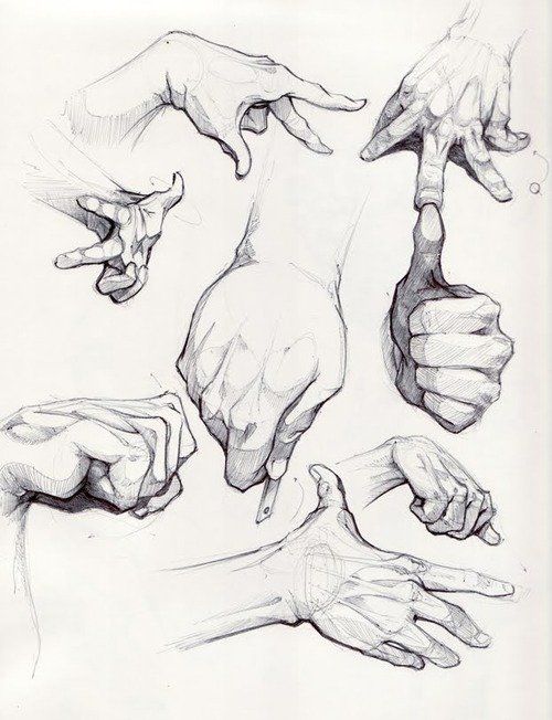 500x652 Drawing Hand Black And White Sketch Artistic Fingers - Movement Sketches