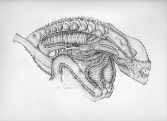 570x414 Alien Art Pencil Drawing Sketch Aliens Movie Fantasy High Etsy - Movie Sketch