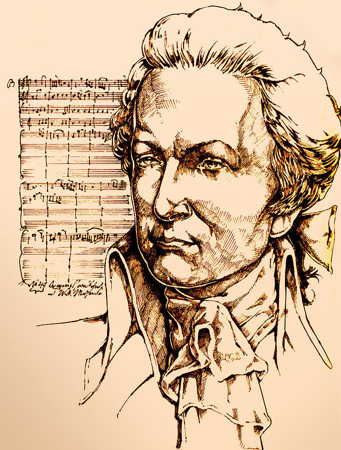 682x900 Mozart Drawing By Derrick Higgins - Mozart Sketch