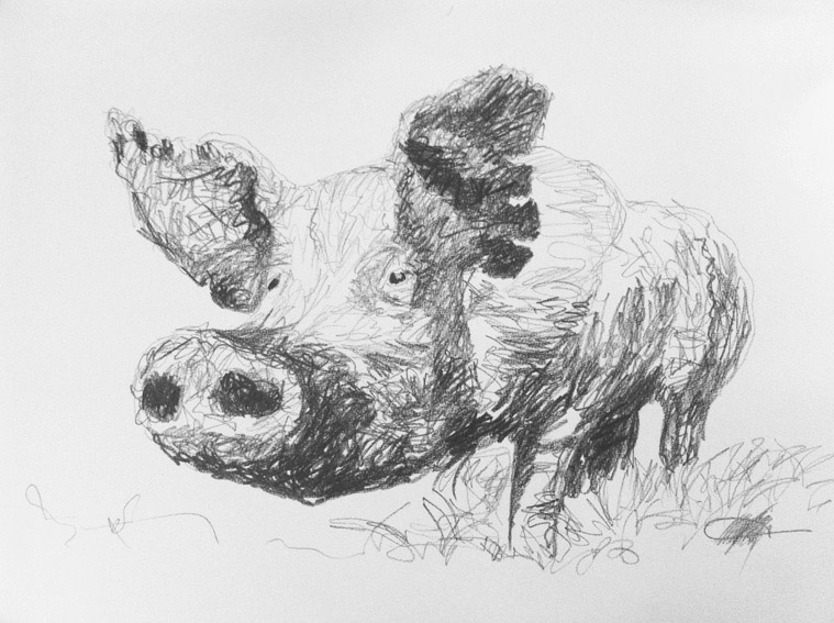 759x567 Mark - Msp Sketch