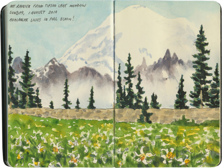 720x545 Mt Rainier Drawn The Road Again - Mt Rainier Sketch