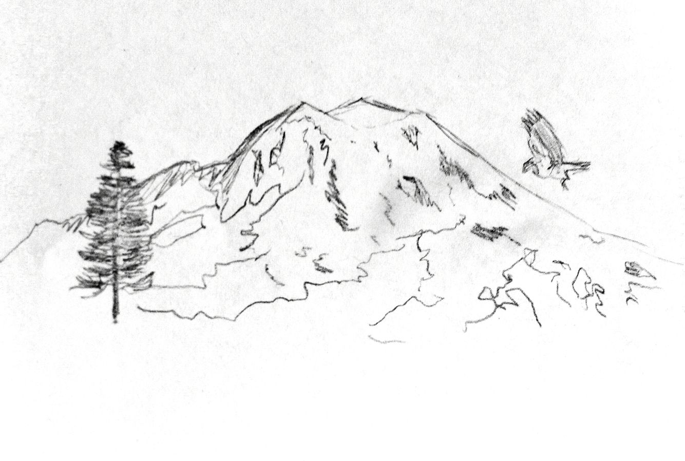 1334x898 My Sketch For Mountain Tattoo - Mt Rainier Sketch