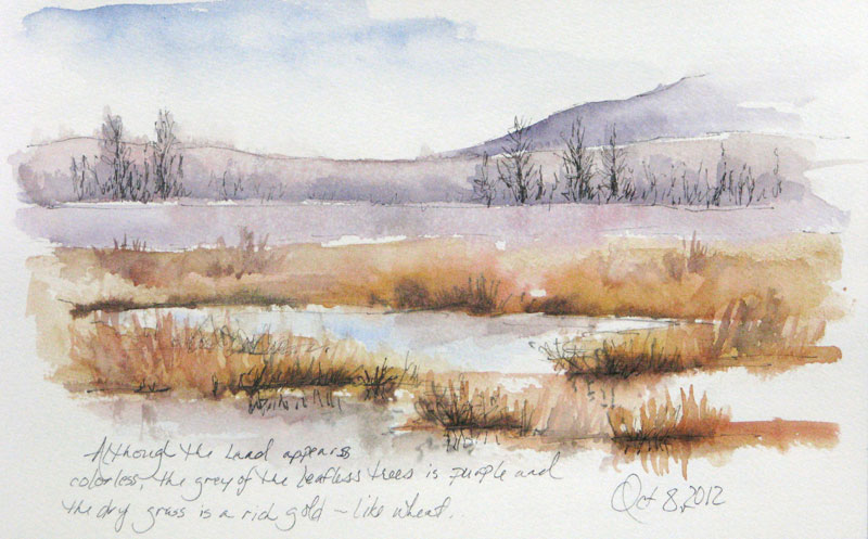 800x497 Pond Sketch Creating In Alaska - Mud Sketch