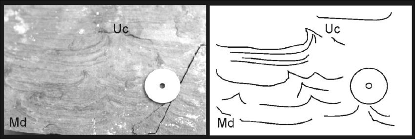 850x285 Field Photograph And Sketch Of Unbreached Cusps (Uc) And Mud Crack - Mud Sketch