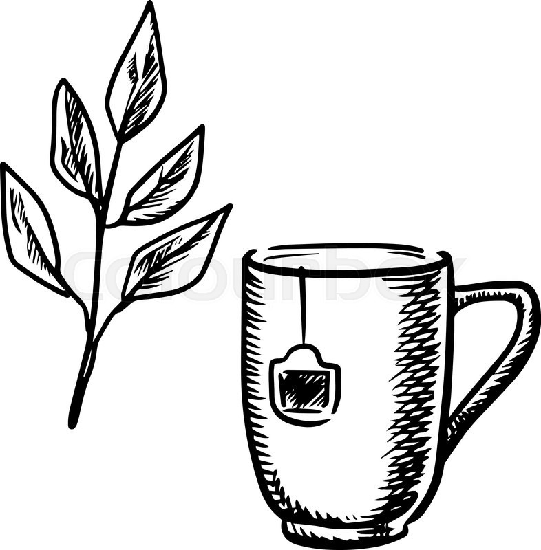 786x800 Sketch Mug Of Tea Made With A Teabag With A Twig Of Fresh Tea - Mug Sketch
