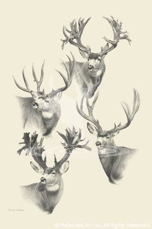 315x472 World Record Mule Deer - Mule Deer Sketch