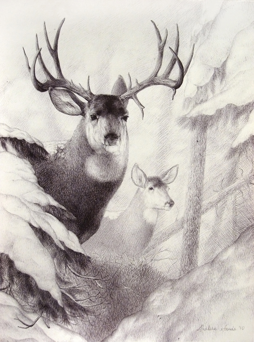 1000x1345 Christmas Pencil Sketches Simple Deer Pencil Sketch Mule Deer - Mule Deer Sketch