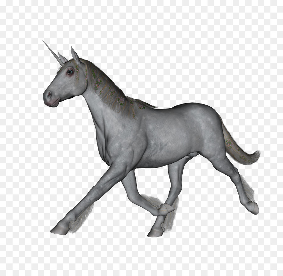 900x880 Mule Horse Gouache Halter Sketch - Mule Sketch