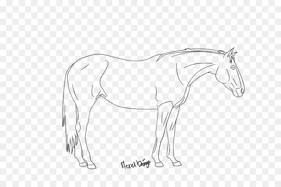900x600 Mule Pony Line Art Mustang Sketch - Mule Sketch