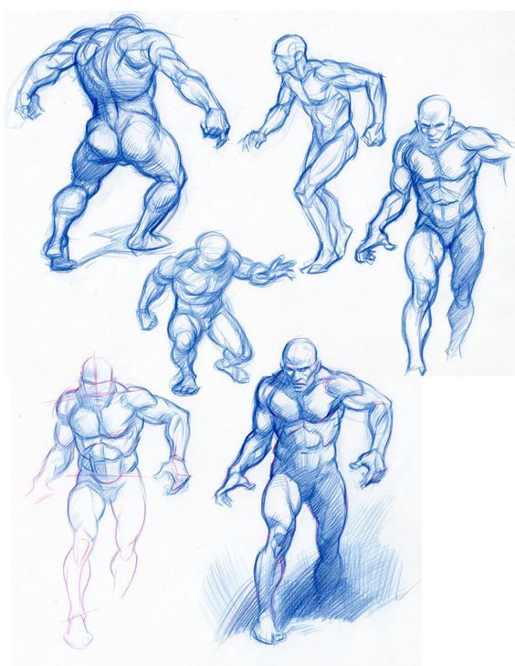564x729 Man Anatomy Sketch Concept Art Body Study Muscles Dynamic Posing - Muscle Man Sketch