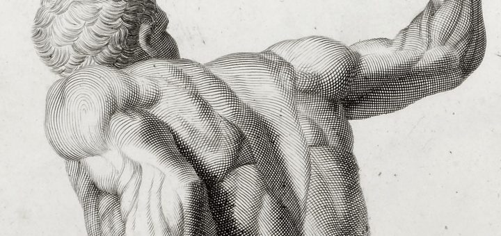 720x340 Optimized High Calorie Green Smoothie Smoothie Gains - Muscle Man Sketch