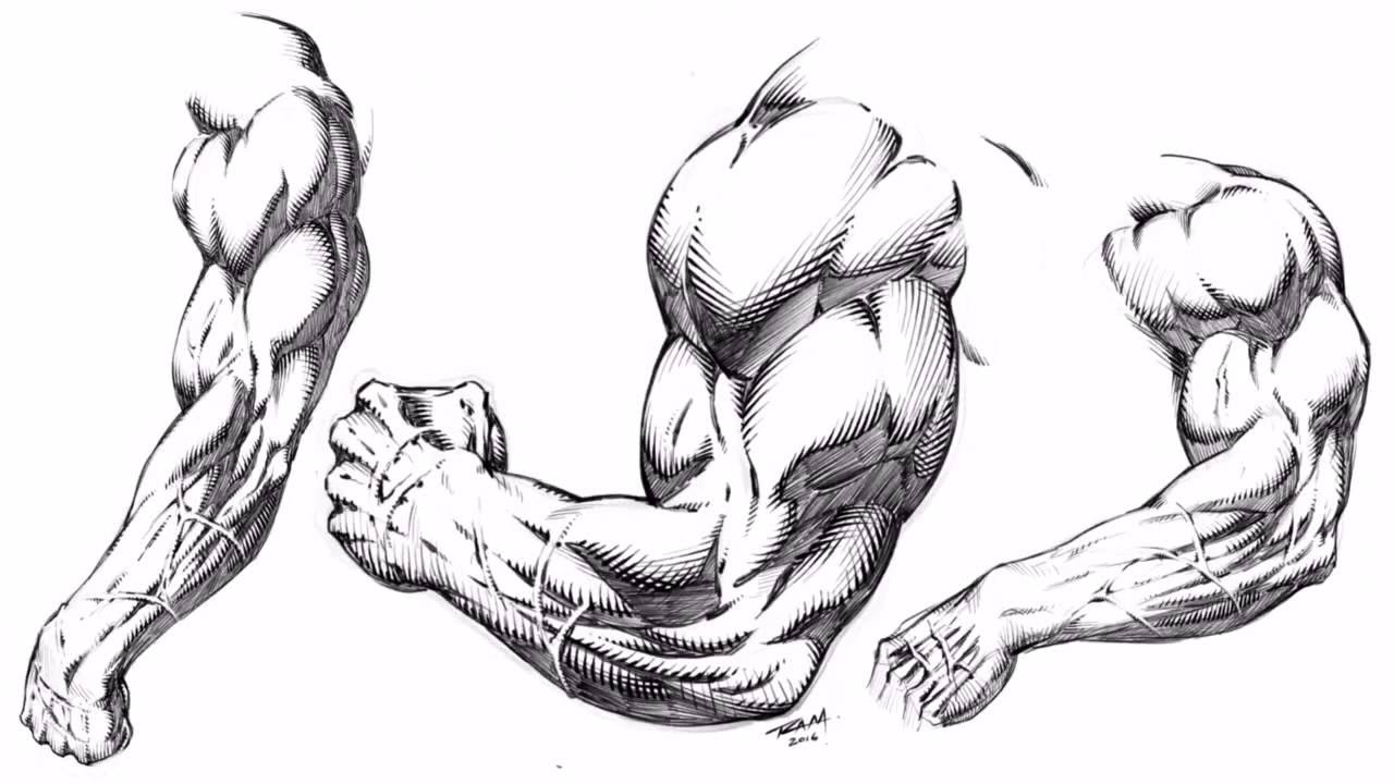 1280x720 Drawing Muscular Stylized Arms For Comics Demonstration - Muscle S...