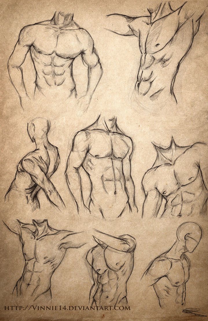 719x1111 Male Body Sketches - Muscle Sketch