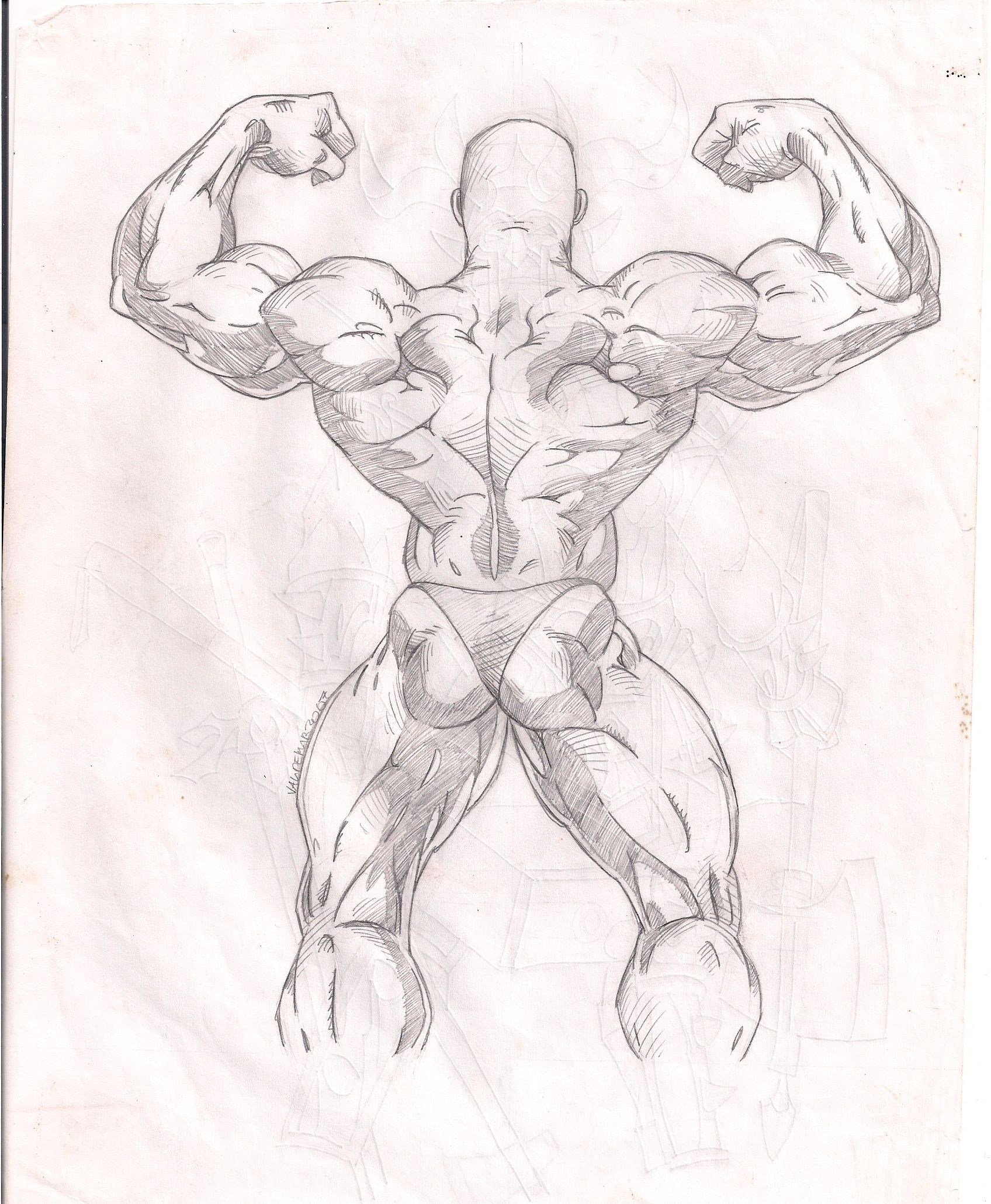1696x2060 Muscle - Muscle Sketch