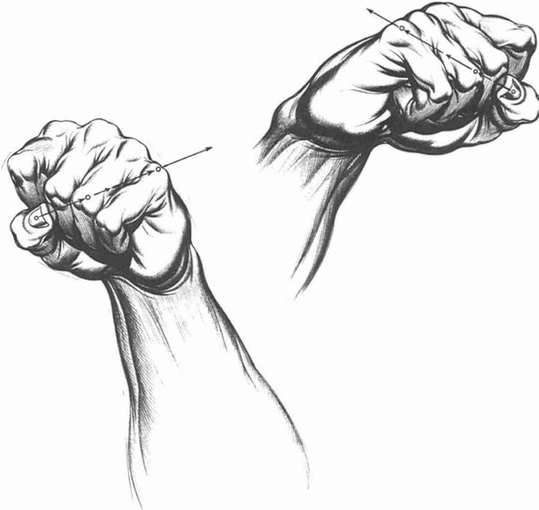 1086x1028 Angle Of Palm Elevation - Muscle Sketch