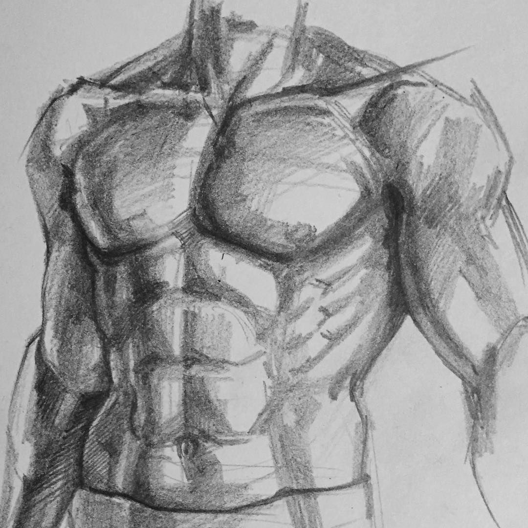 1080x1080 Painting - Muscle Sketch