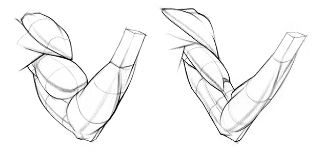 630x298 Drawing Muscles What You Need To Know Proko - Muscle Sketch