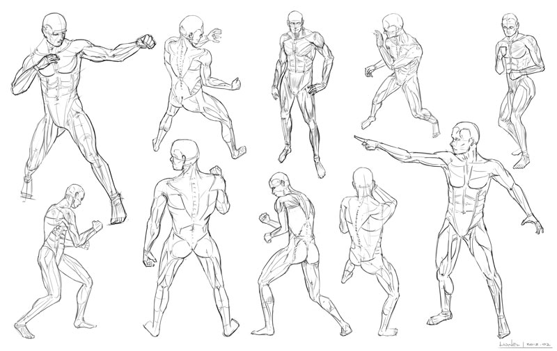 Featured image of post Anime Boy Muscle Reference These will basically be two sets that sort of weave together