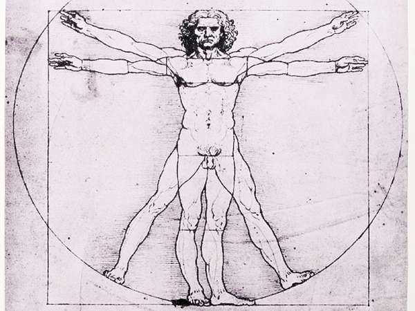 600x450 Leonardo Da Vinci - Muscular Body Sketch