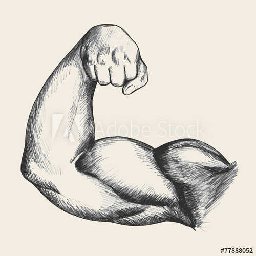 500x500 Sketch Illustration Of Muscular Human Male Right Arm - Muscular Body Sketch