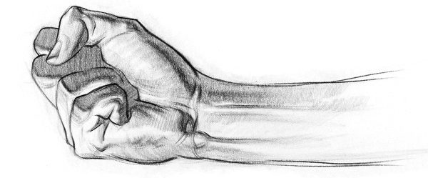 600x249 How To Draw Hands Muscle Anatomy Of The Hand Proko - Muscular Body Sketch