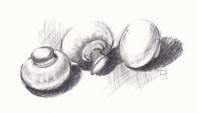 400x230 Drawings And Paintings Mushroom Sketch - Mushroom Sketch