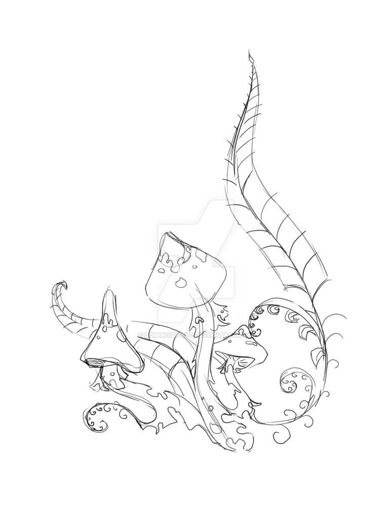 774x1032 Mushroom - Mushroom Sketch