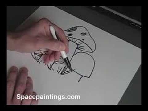 480x360 Mushroom Sketch - Mushroom Sketch